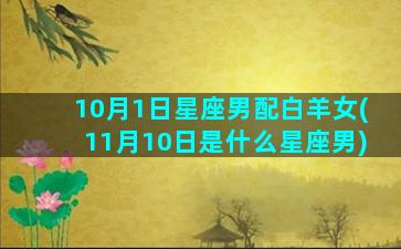 10月1日星座男配白羊女(11月10日是什么星座男)