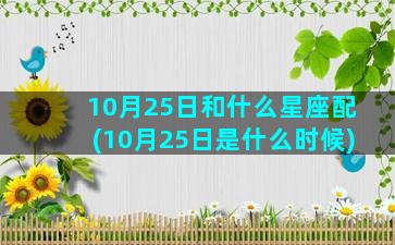 10月25日和什么星座配(10月25日是什么时候)