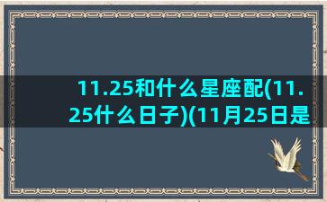 11.25和什么星座配(11.25什么日子)(11月25日是哪两个星座)