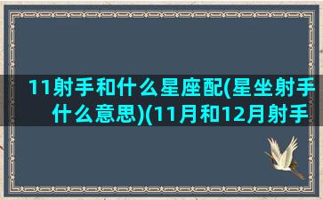 11射手和什么星座配(星坐射手什么意思)(11月和12月射手座)