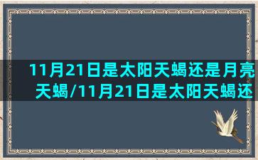 11月21日是太阳天蝎还是月亮天蝎/11月21日是太阳天蝎还是月亮天蝎-我的网站