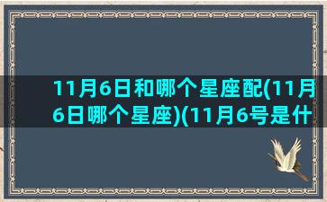 11月6日和哪个星座配(11月6日哪个星座)(11月6号是什么星座)