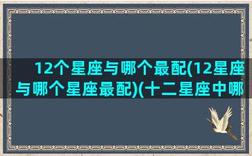 12个星座与哪个最配(12星座与哪个星座最配)(十二星座中哪个星座和哪个星座最配)