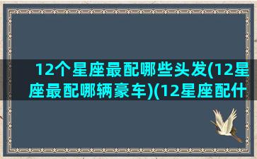 12个星座最配哪些头发(12星座最配哪辆豪车)(12星座配什么男生)