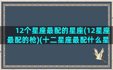 12个星座最配的星座(12星座最配的枪)(十二星座最配什么星座配对)