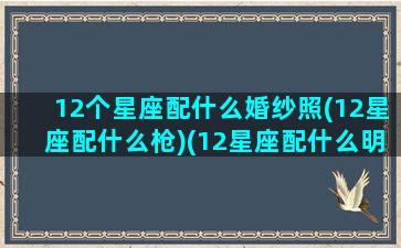 12个星座配什么婚纱照(12星座配什么枪)(12星座配什么明星男友合适)