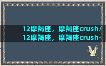 12摩羯座，摩羯座crush/12摩羯座，摩羯座crush-我的网站(摩羯座十二宫详细讲解)