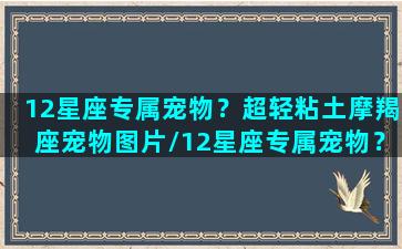 12星座专属宠物？超轻粘土摩羯座宠物图片/12星座专属宠物？超轻粘土摩羯座宠物图片-我的网站