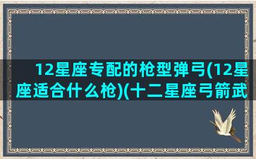 12星座专配的枪型弹弓(12星座适合什么枪)(十二星座弓箭武器)