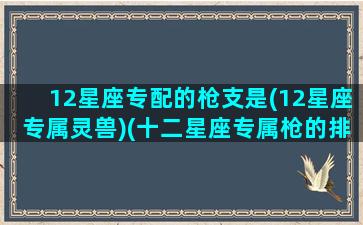 12星座专配的枪支是(12星座专属灵兽)(十二星座专属枪的排名)