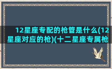 12星座专配的枪管是什么(12星座对应的枪)(十二星座专属枪支)