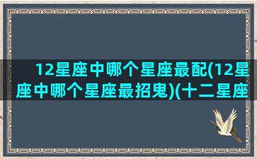 12星座中哪个星座最配(12星座中哪个星座最招鬼)(十二星座谁最容易碰到鬼)