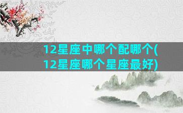 12星座中哪个配哪个(12星座哪个星座最好)