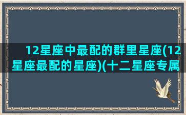 12星座中最配的群里星座(12星座最配的星座)(十二星座专属群聊名)