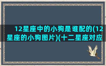 12星座中的小狗是谁配的(12星座的小狗图片)(十二星座对应的狗狗类型)