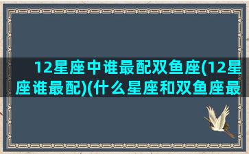 12星座中谁最配双鱼座(12星座谁最配)(什么星座和双鱼座最配做男女朋友)