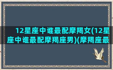 12星座中谁最配摩羯女(12星座中谁最配摩羯座男)(摩羯座最配什么星座女生)