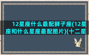 12星座什么最配狮子座(12星座和什么星座最配图片)(十二星座谁和狮子座最配)