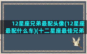 12星座兄弟最配头像(12星座最配什么车)(十二星座最佳兄弟组合)