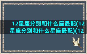 12星座分别和什么座最配(12星座分别和什么星座最配)(12星座和什么座最配对)