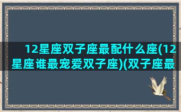 12星座双子座最配什么座(12星座谁最宠爱双子座)(双子座最配的星座是什么星座配对)