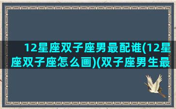 12星座双子座男最配谁(12星座双子座怎么画)(双子座男生最配星座配对)