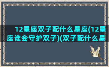 12星座双子配什么星座(12星座谁会守护双子)(双子配什么星座最合适)