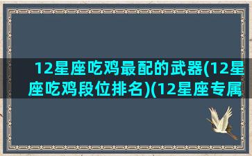 12星座吃鸡最配的武器(12星座吃鸡段位排名)(12星座专属吃鸡段位)