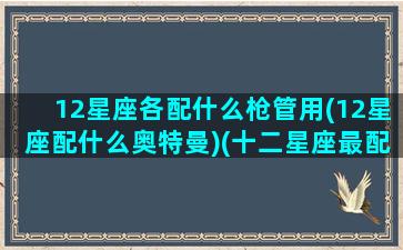 12星座各配什么枪管用(12星座配什么奥特曼)(十二星座最配什么奥特曼)