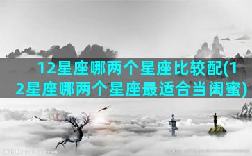 12星座哪两个星座比较配(12星座哪两个星座最适合当闺蜜)