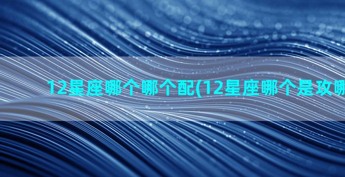 12星座哪个哪个配(12星座哪个是攻哪个是受)