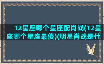 12星座哪个星座配肖战(12星座哪个星座最傻)(明星肖战是什么座)