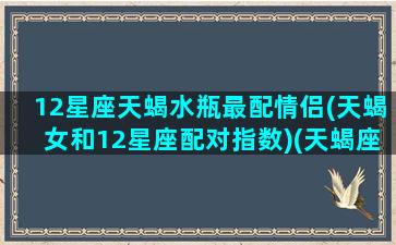 12星座天蝎水瓶最配情侣(天蝎女和12星座配对指数)(天蝎座和水瓶座的情侣值是多少)