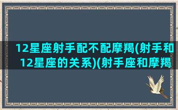 12星座射手配不配摩羯(射手和12星座的关系)(射手座和摩羯星座最配对)