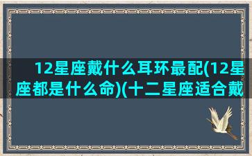 12星座戴什么耳环最配(12星座都是什么命)(十二星座适合戴什么项链)