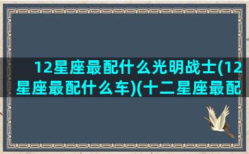 12星座最配什么光明战士(12星座最配什么车)(十二星座最配什么枪)