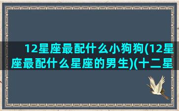 12星座最配什么小狗狗(12星座最配什么星座的男生)(十二星座对应的狗的品种)