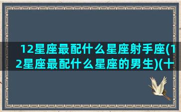 12星座最配什么星座射手座(12星座最配什么星座的男生)(十二星座最配什么星座配对)