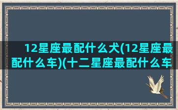 12星座最配什么犬(12星座最配什么车)(十二星座最配什么车)