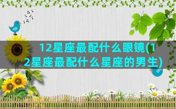 12星座最配什么眼镜(12星座最配什么星座的男生)