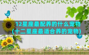 12星座最配养的什么宠物(十二星座最适合养的宠物)