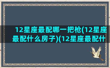 12星座最配哪一把枪(12星座最配什么房子)(12星座最配什么车)