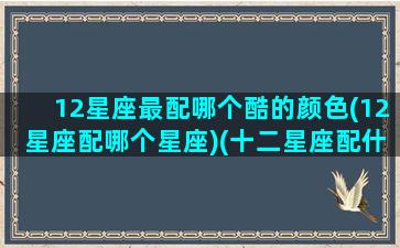 12星座最配哪个酷的颜色(12星座配哪个星座)(十二星座配什么颜色)