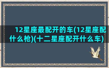 12星座最配开的车(12星座配什么枪)(十二星座配开什么车)