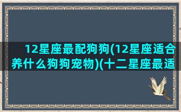 12星座最配狗狗(12星座适合养什么狗狗宠物)(十二星座最适合的狗)