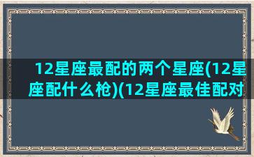 12星座最配的两个星座(12星座配什么枪)(12星座最佳配对的三个星座)