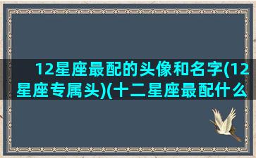 12星座最配的头像和名字(12星座专属头)(十二星座最配什么)