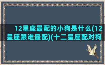 12星座最配的小狗是什么(12星座跟谁最配)(十二星座配对狗狗)