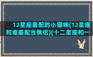 12星座最配的小猫咪(12星座和谁最配当情侣)(十二星座和一只猫的动画片)