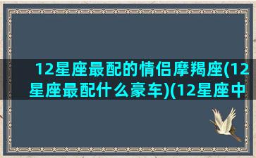 12星座最配的情侣摩羯座(12星座最配什么豪车)(12星座中最配的情侣)